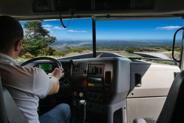 Truck driver behind the wheel